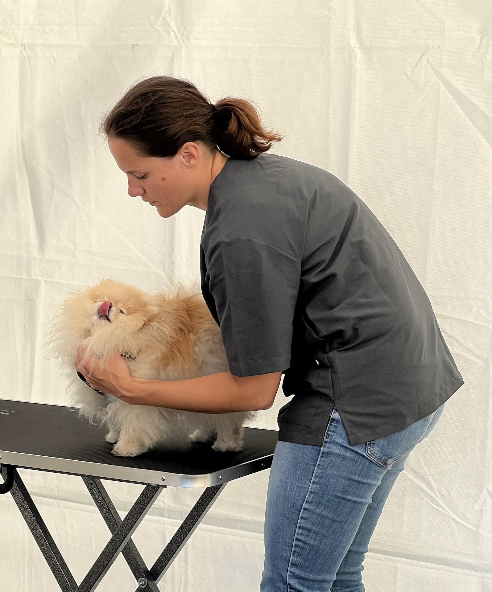 osteopathie-animale-chien